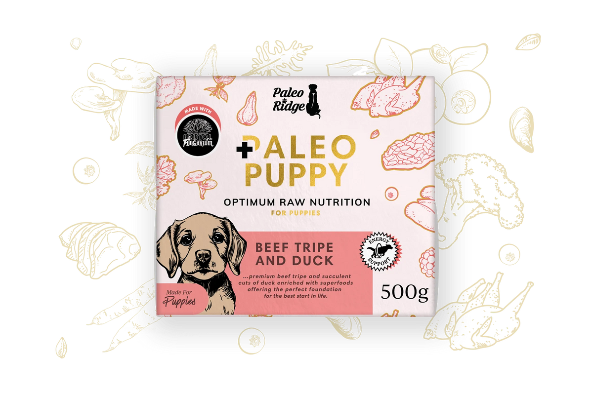 Paleo Puppy Beef Tripe and Duck