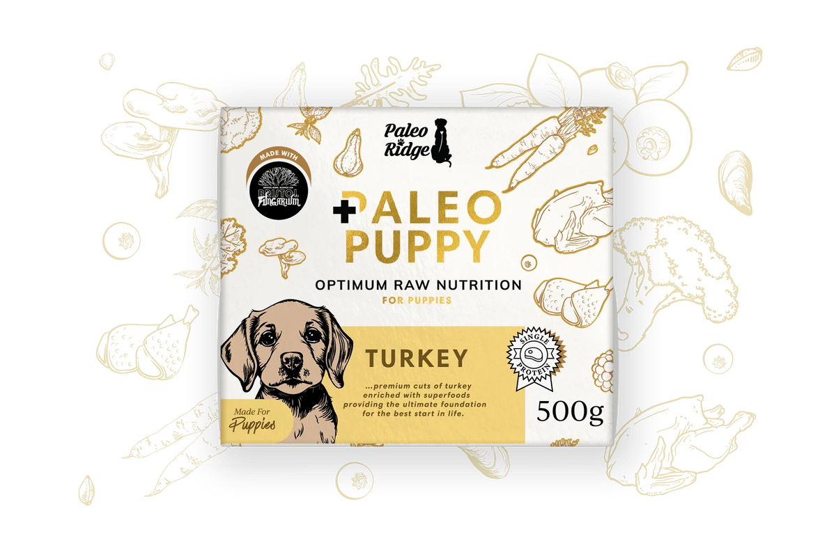 Paleo Puppy Turkey